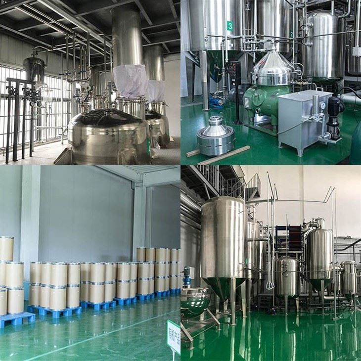 Curcumin factory